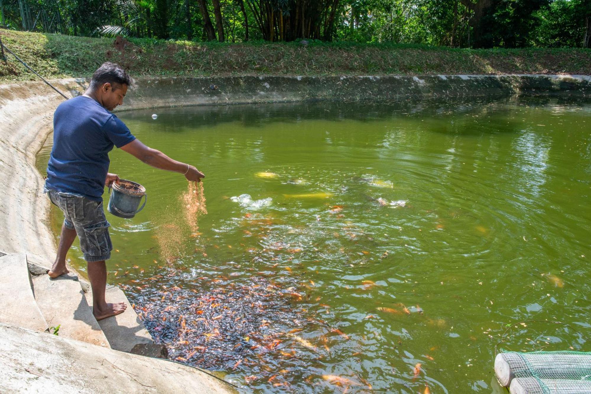 The Jungle Pearl Hotel Udawalawe Bagian luar foto