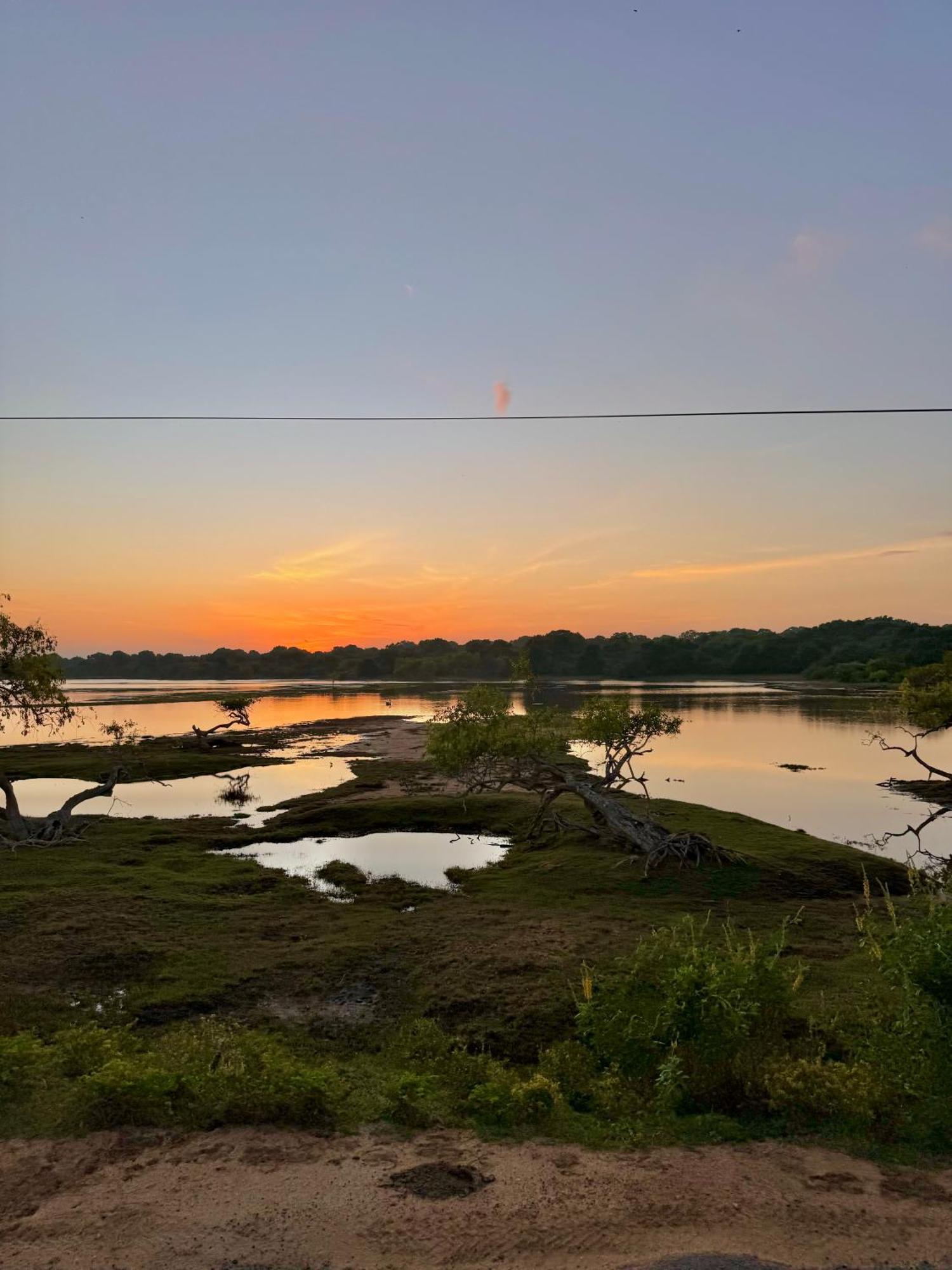 The Jungle Pearl Hotel Udawalawe Bagian luar foto